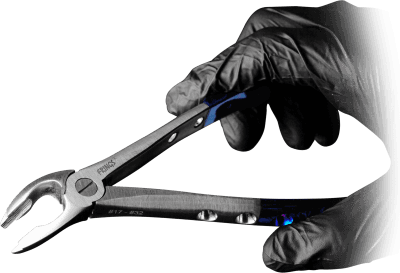 FRINGS Serrations.png