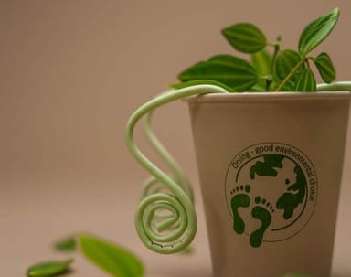 Orsing - Bio Cups