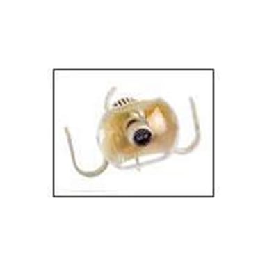 SDS Operatory Light