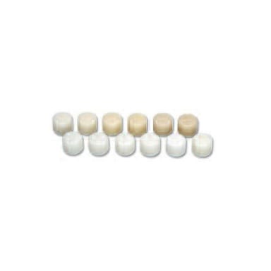 IPS Empress Esthetic