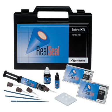 RealSeal SERoot Canal Sealer