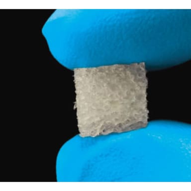 Bacterin OsteoSponge