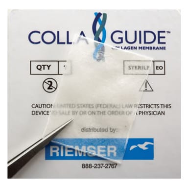 CollaGuide Collagen Membrane