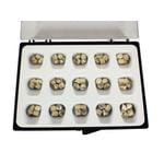 Temporary Crowns Bicuspid Kit, 60/:Pkg